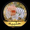 user4255153075045