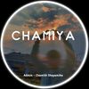 x_.chamiya