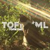 tofikxml