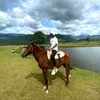 junvelle3