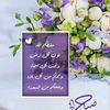 user1500181447276