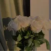 followback.255