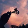 serenaa.hiii