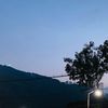 lailii21_