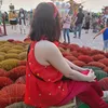 pema.1402