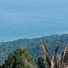 alinong8