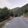 tony.medj