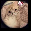 ng.hiencutephomaique