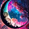 user6680857881187