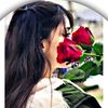 amernfsu5