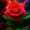 user8114782188817