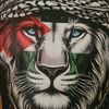 pali_shibli
