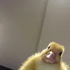 hihioihbb