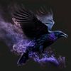 _raven717