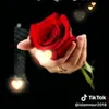 user7755572808446