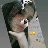 kasandra.godoy