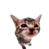 kraspep
