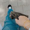 mariam.elemam3