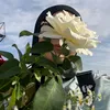 ar_._23