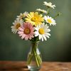 thedaisyyyyyyy