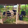 wakipevu.ranches