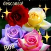 celia.cardoso33