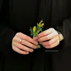 a_fio6