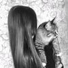 ffatsisss