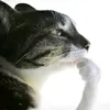 eudemotoebom