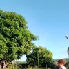 raissa.bezerra27