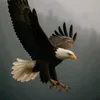 ohemaaserwaa04