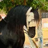 Darkan Darkan