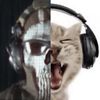 callofbooby