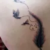elena.miranda497