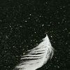 somnia564