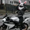 ☾✧𝕮𝖗𝖞𝖘𝖙𝖆𝖑✧☽