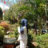 xcll_aaud