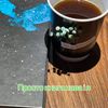 svitlana.shevchen09