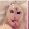 lil.leyahhh