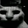 dngmai0532