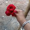hiw.asif