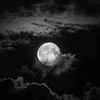 moon_star434