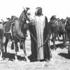 بـعيدالـهقاويّ