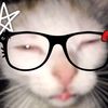 nezuko4005
