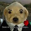 juanmecanic1