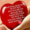 bodrulalom2258
