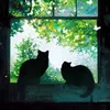 autumn_6105