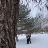 kevin_rms17