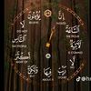 user8516360996194