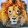 leo.ong8